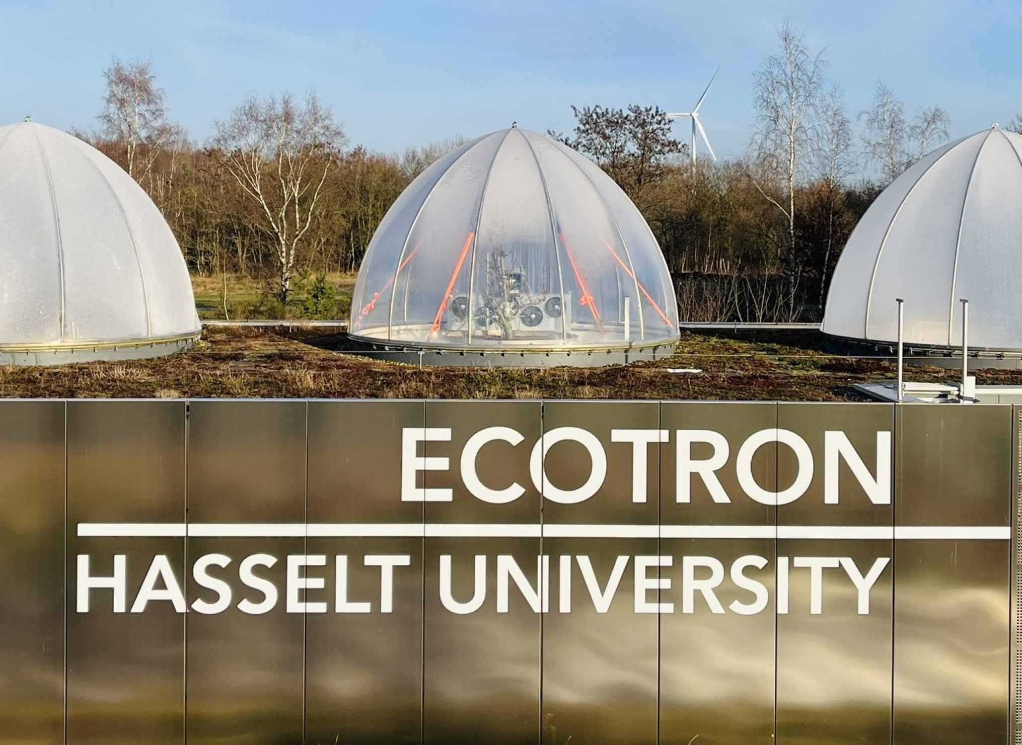 Pears In The Ecotron