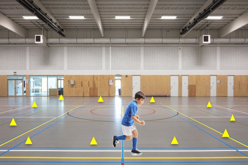 RWS Header Verdediging Mieke Goetschalckx Website2