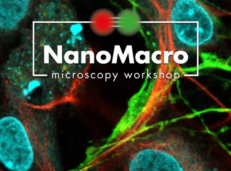 Header Nano Macro Microscopy Workshop (1)