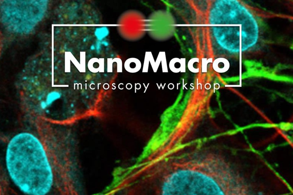 Header Nano Macro Microscopy Workshop (1)