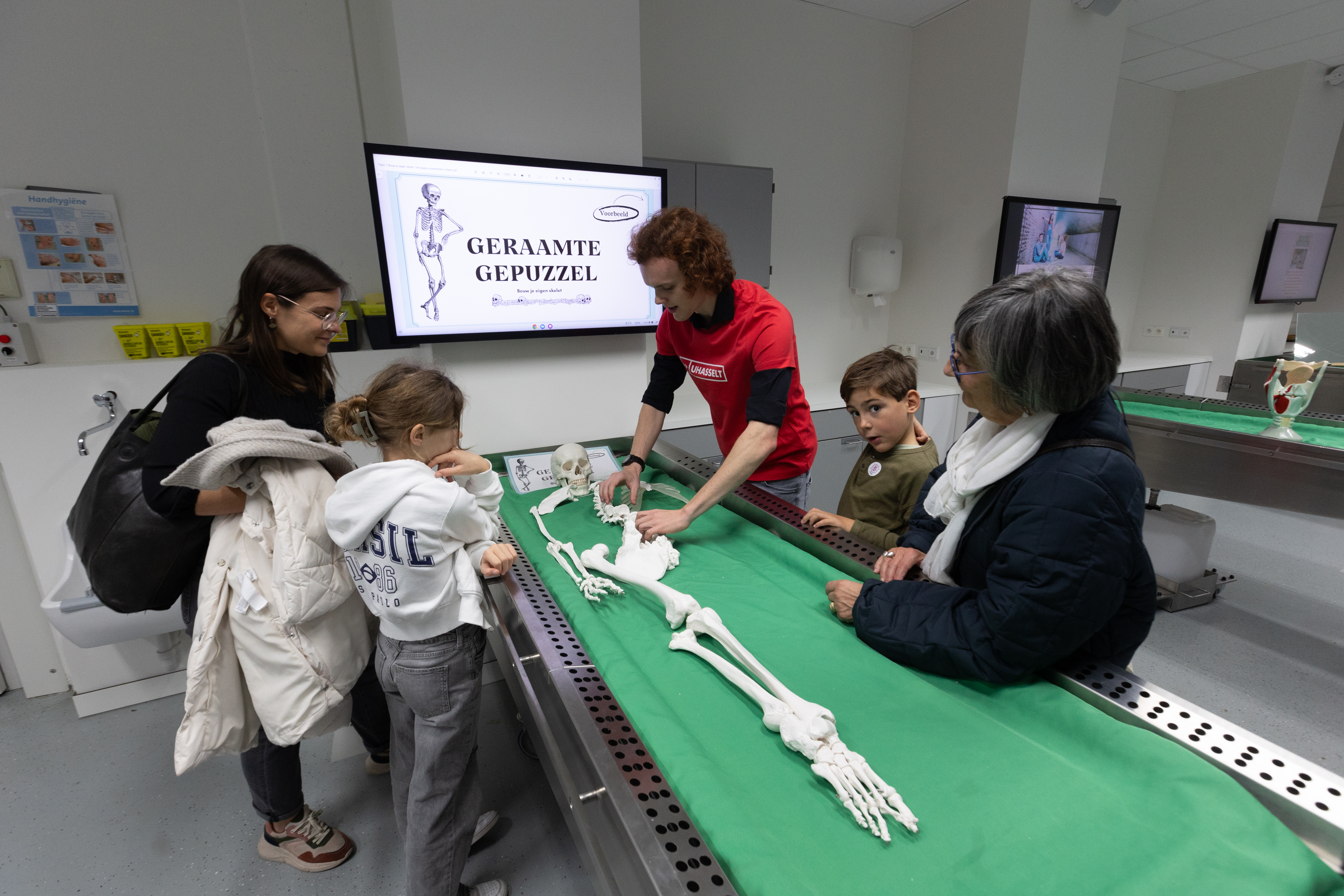 Geraamte Puzzel Dag Van De Wetenschap Uhasselt