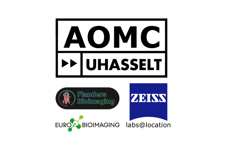 AOMC_EUBI_FLABI_ZEISSLatL_1272x713