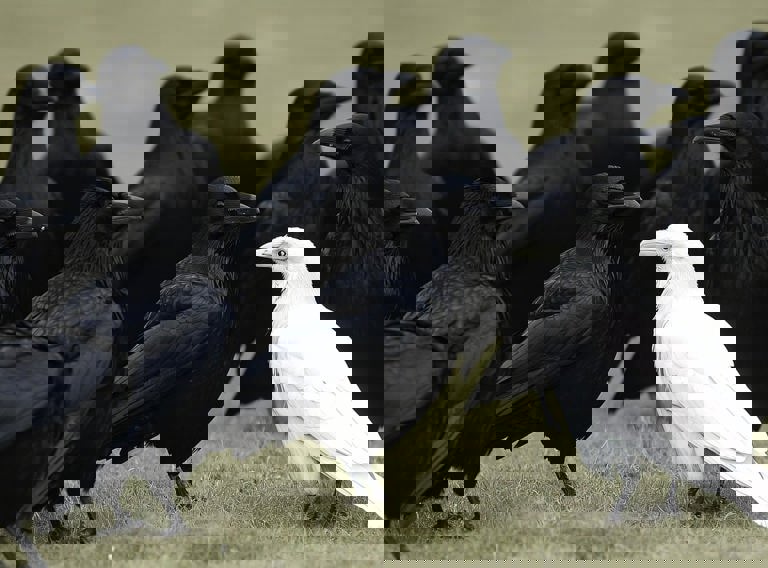 Ai Generated 9476091 1280