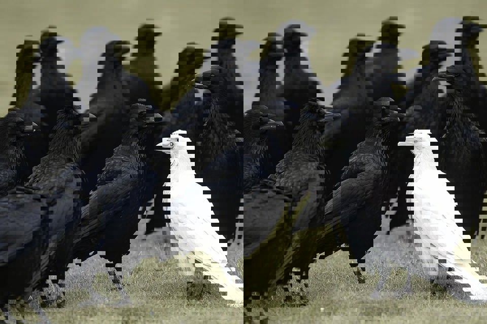 Ai Generated 9476091 1280