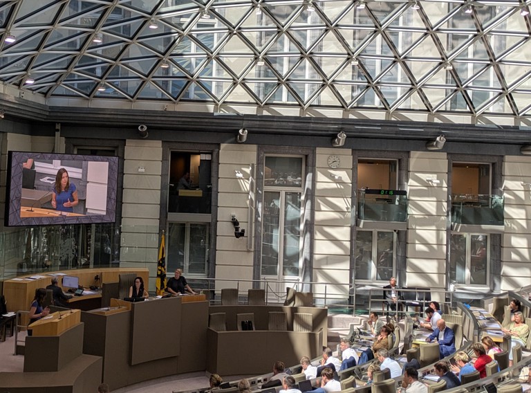 Vlaams Parlement (SMP)