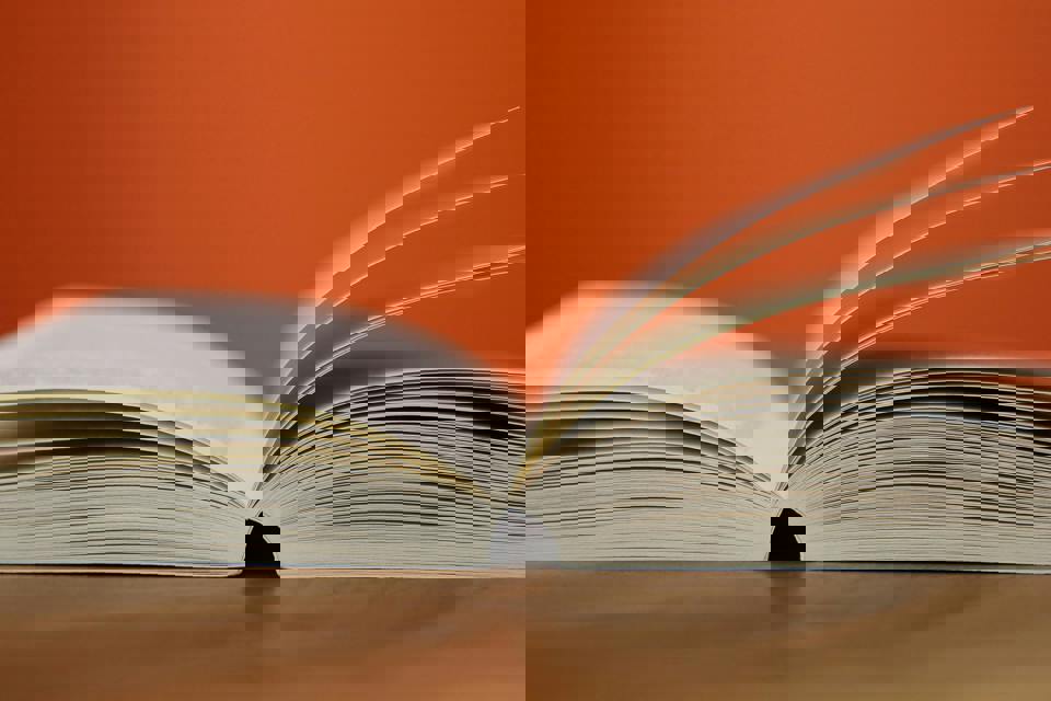 Pexels Pixabay 267586