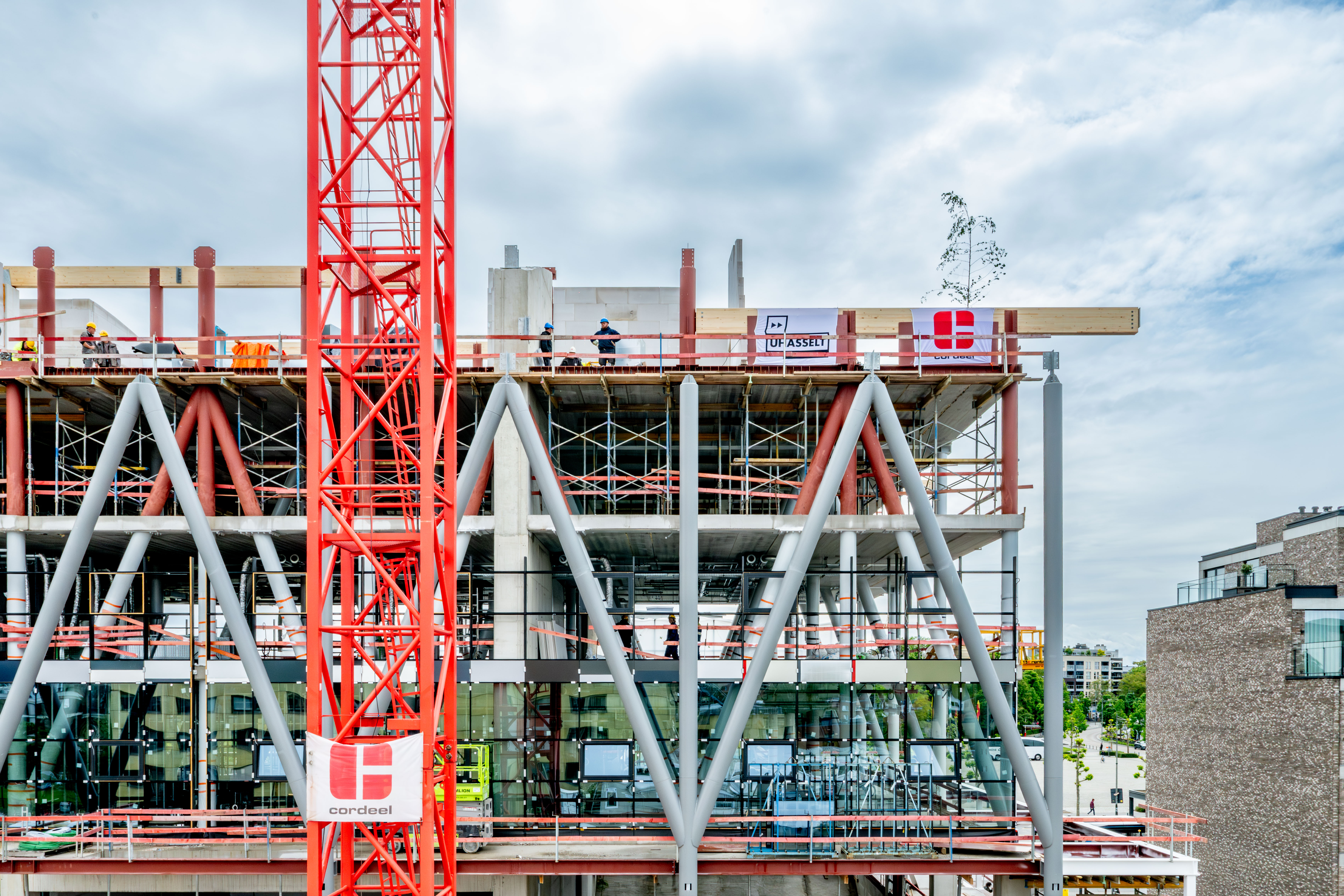 Meiboom Nieuw Campusgebouw Uhasselt1