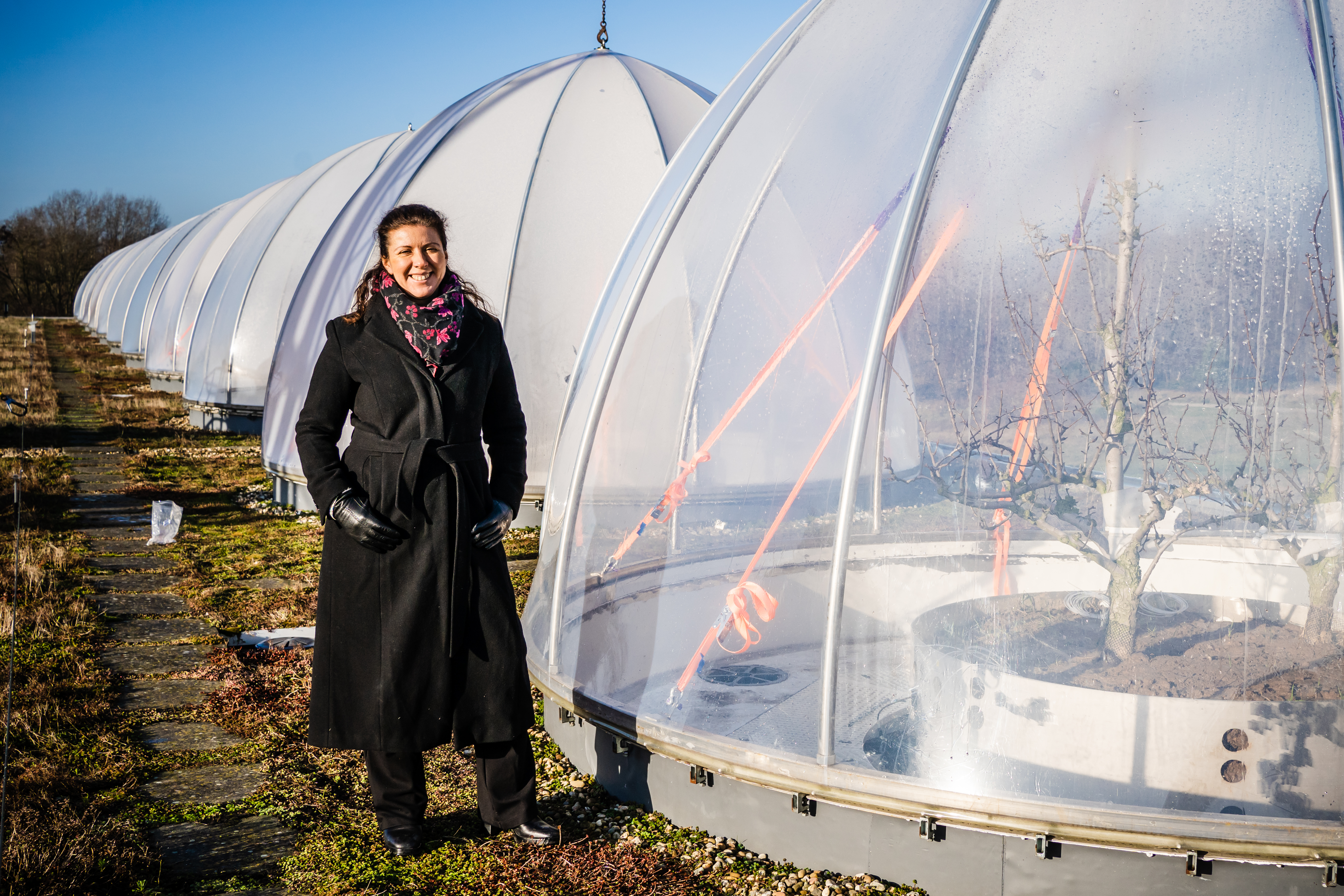 Nadia Soudzilovskaia (CMK UHasselt)