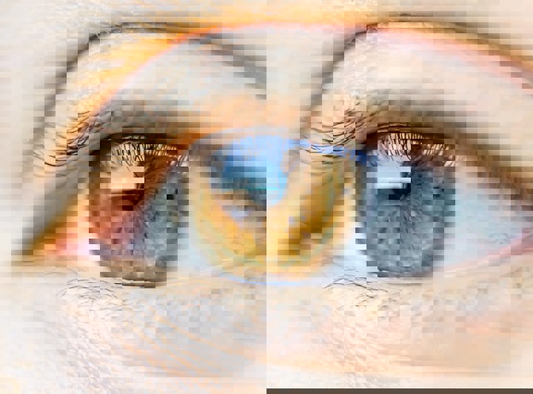 OOGZORG Oog