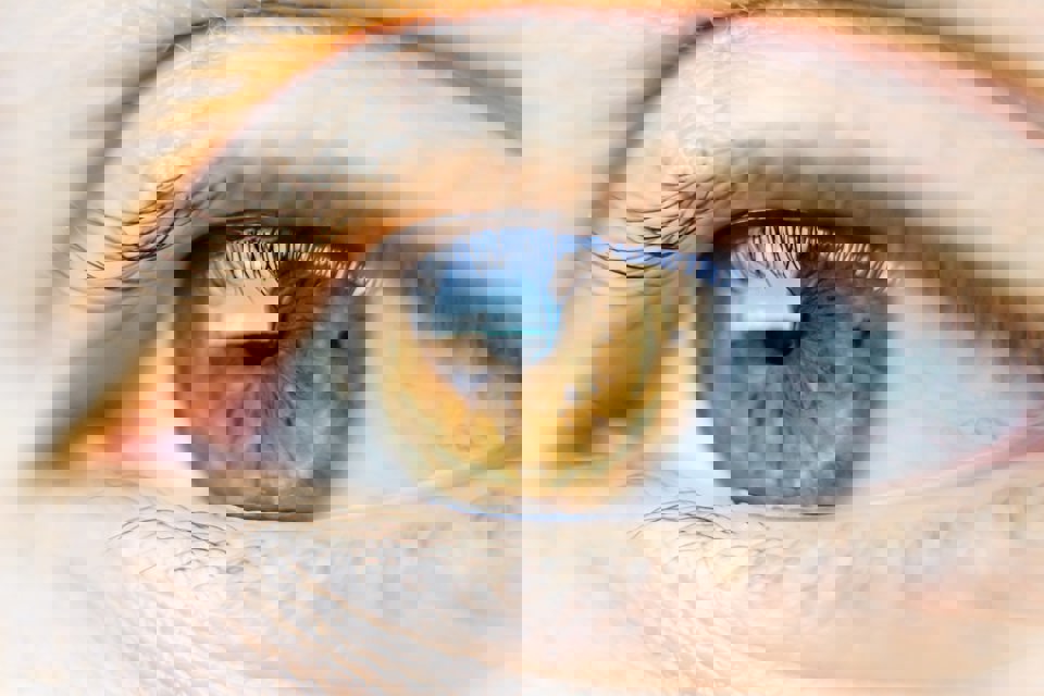 OOGZORG Oog
