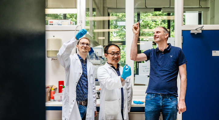 Koen Vandewal Bernhard Siegmund Yuming Wang 2