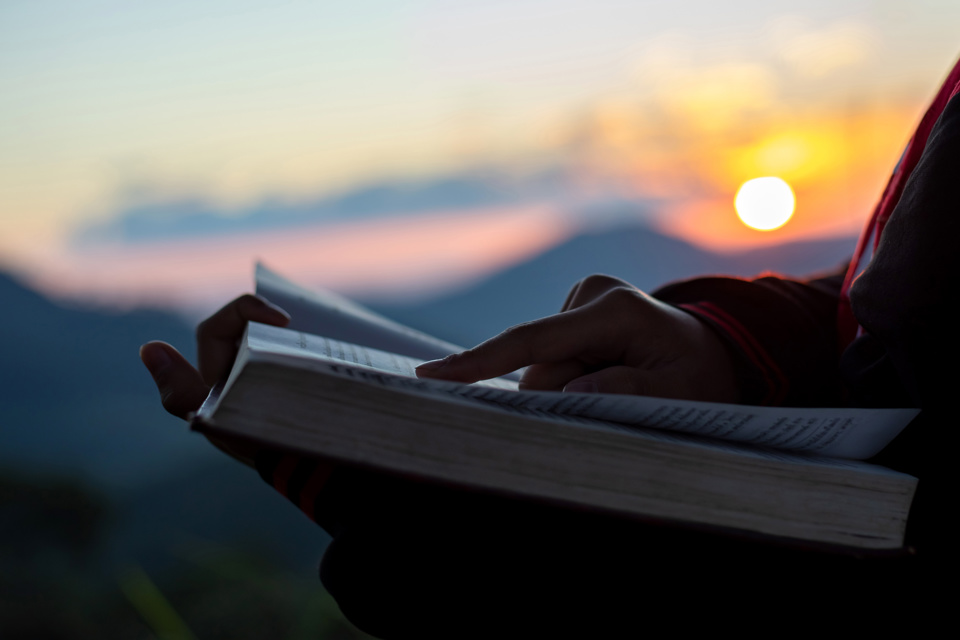 Adobestock 303442026