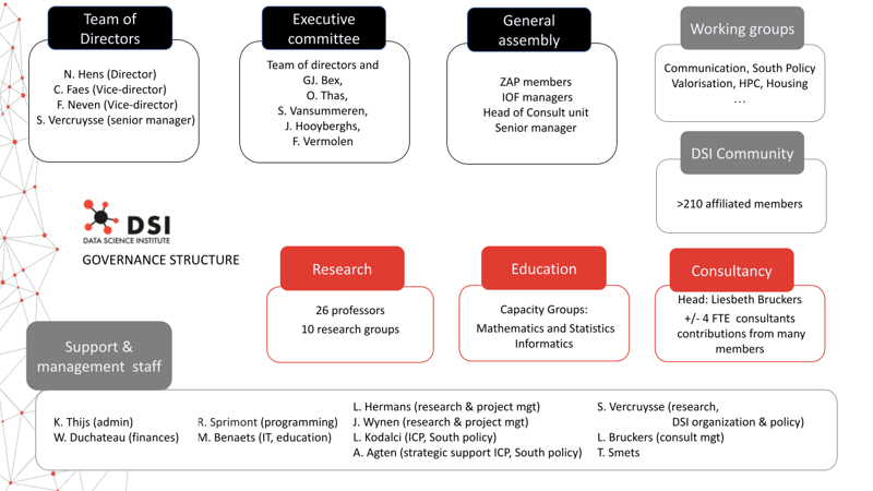 DSI Governance Structure