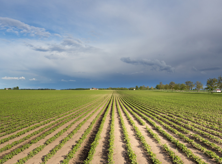 Adobestock 280726852