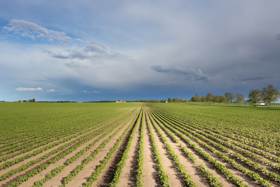 Adobestock 280726852