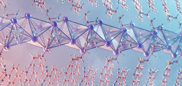 organic and inorganic elements