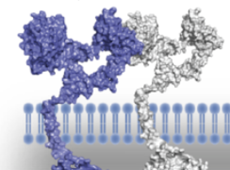 Scherm­Afbeelding 2023 03 14 Om 15.46.34