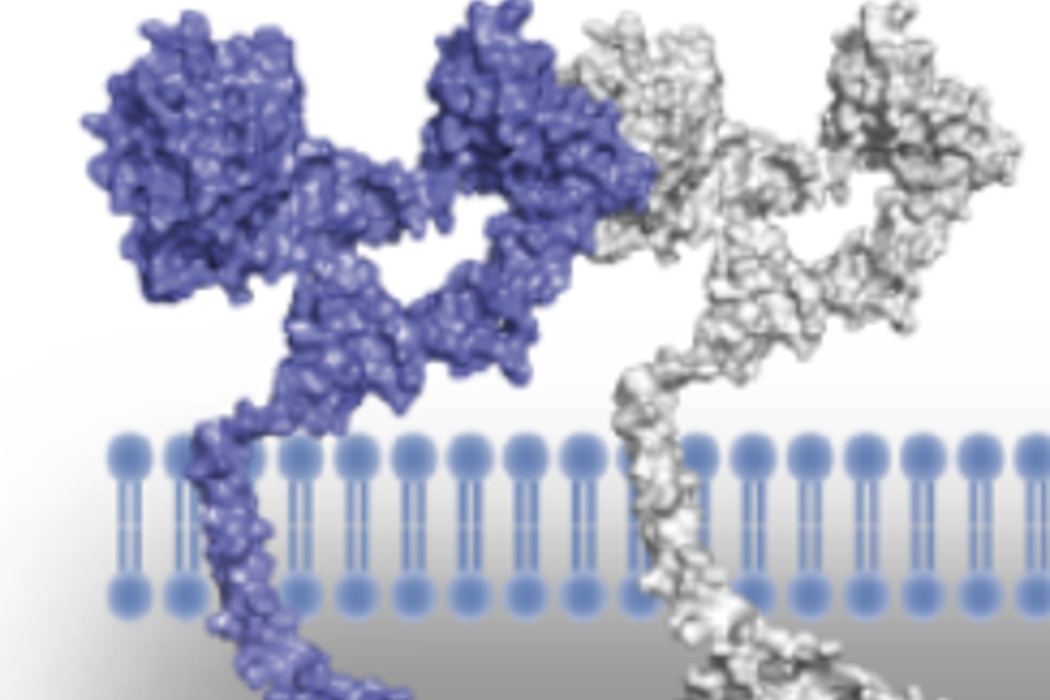 Scherm­Afbeelding 2023 03 14 Om 15.46.34