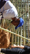 IMG 3490