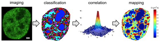 Illustration of ARICS.