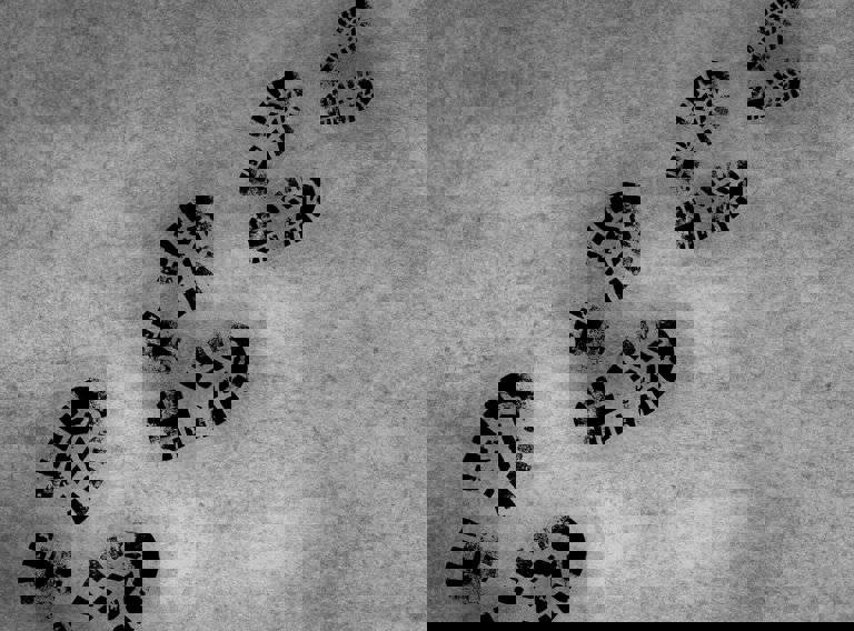 Imprint 1260052 1280