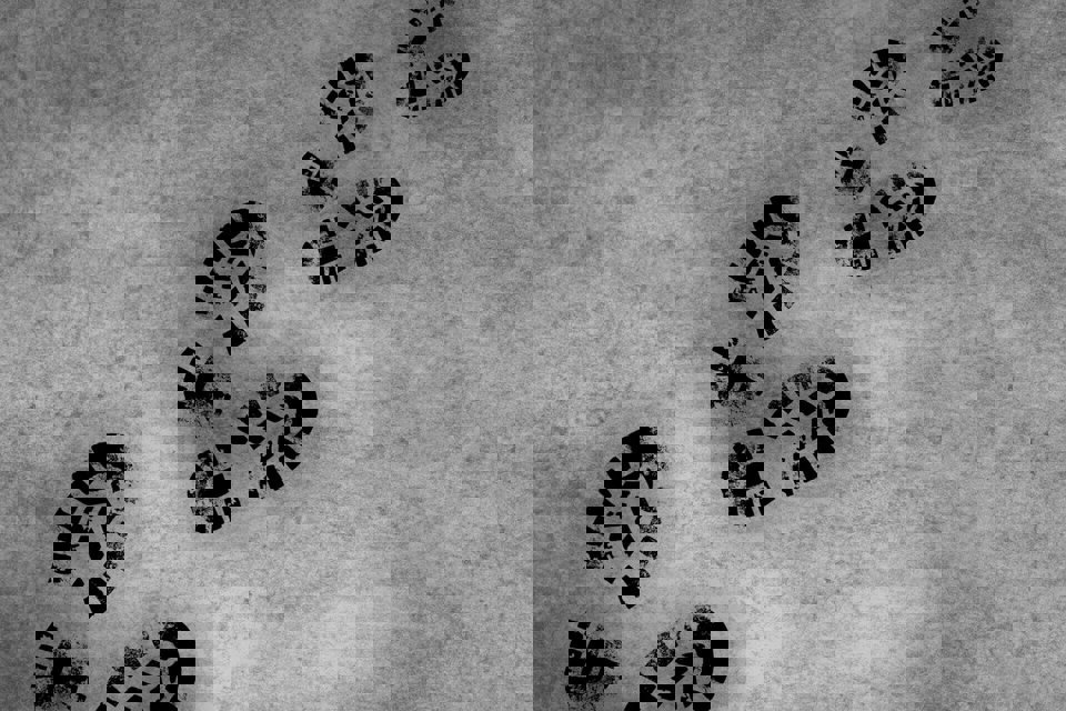 Imprint 1260052 1280