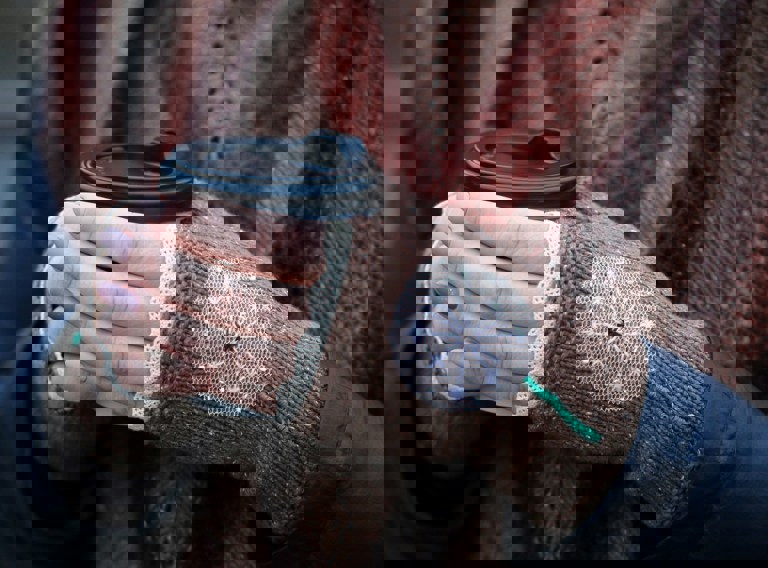 Valeriy Borzov Tghex8b9690 Unsplash