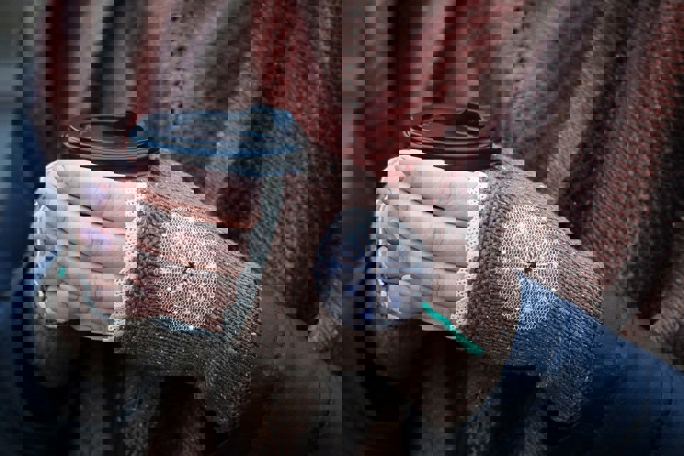 Valeriy Borzov Tghex8b9690 Unsplash