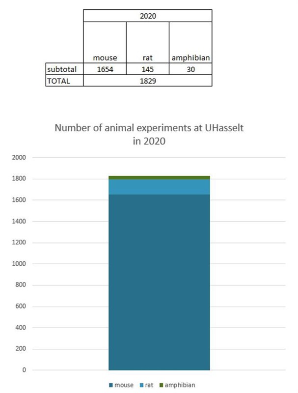 number of animal experiments at UHasselt