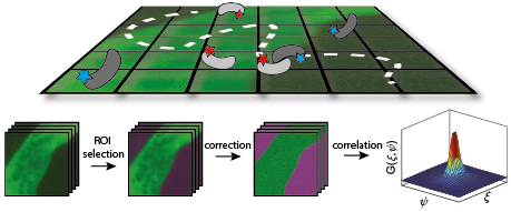 Illustration of RICS.