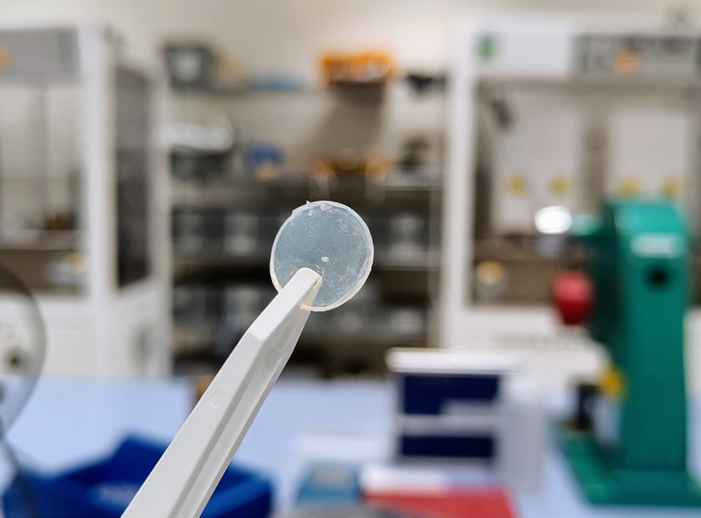 Fiche Solid Electrolyte