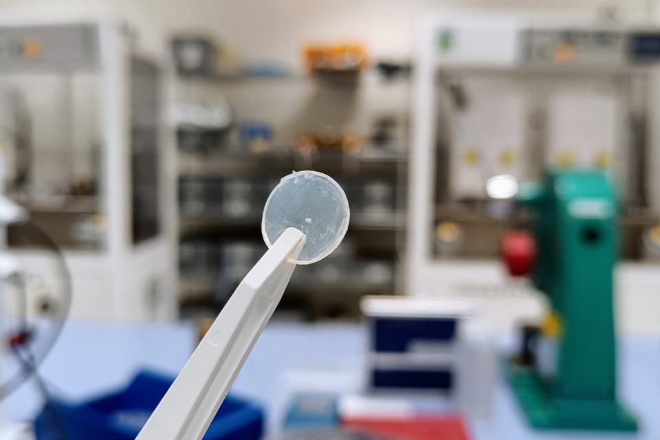 Fiche Solid Electrolyte