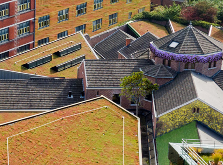 Cropped Banner Met Extra Groen 1