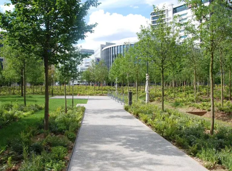 Vzw Bomen Beter Beheren