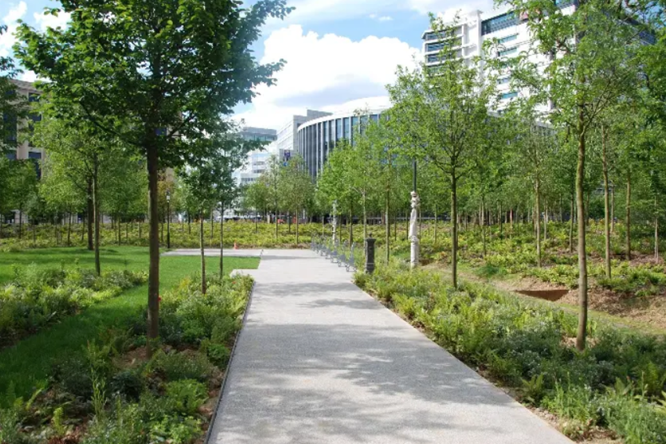 Vzw Bomen Beter Beheren