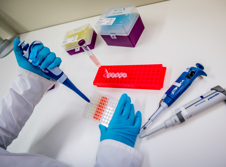 Dierkunde Toxicologie Groep 02