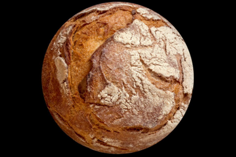 Mars Bread (Wide) 1