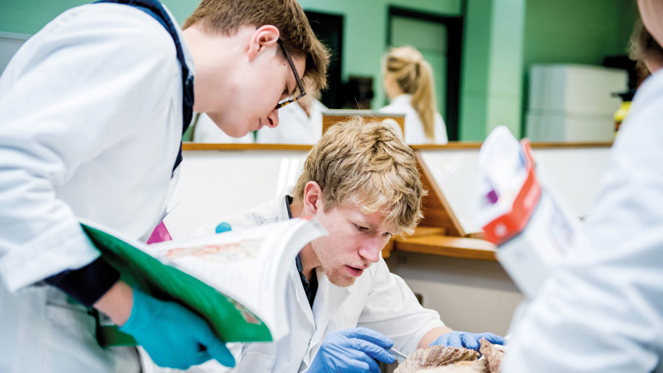 Geneeskunde studeren aan UHasselt - UHasselt