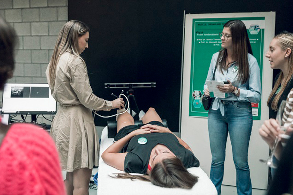 Header Website Britt