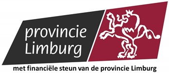 Logo Prov Limburg Metfinsteunvan