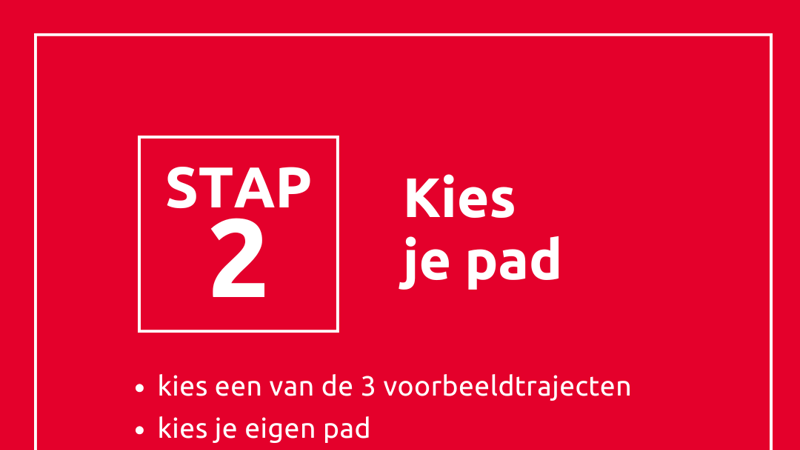 Masterhervorming Website (3)