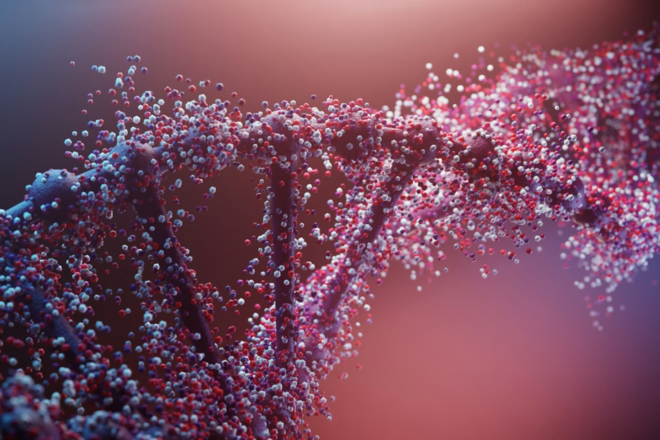 DNA