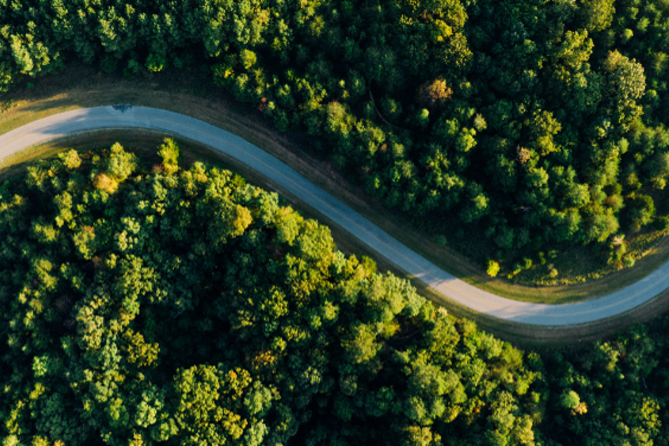 Achtergrond Zonder Logo