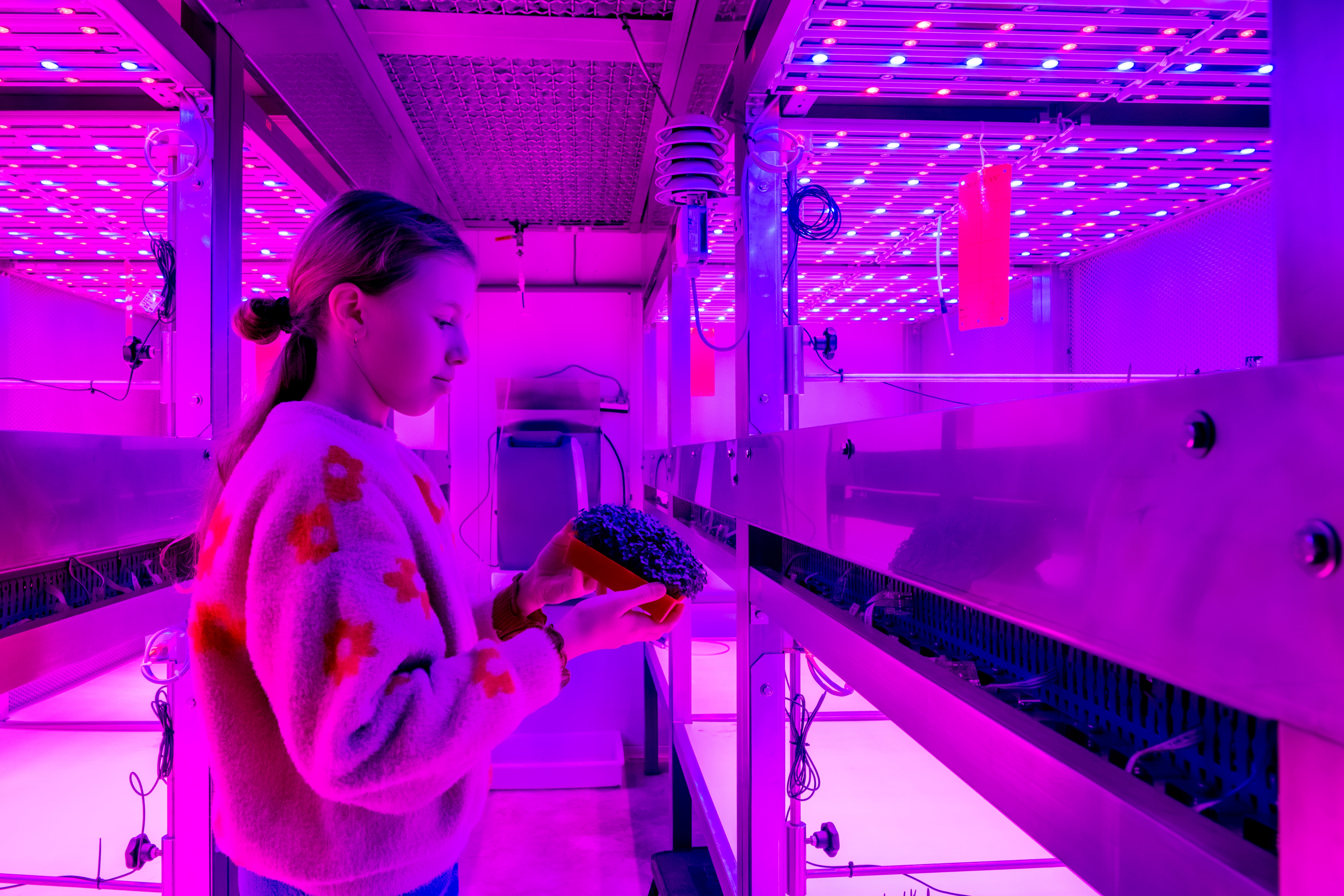 Plantengroeikamers 2
