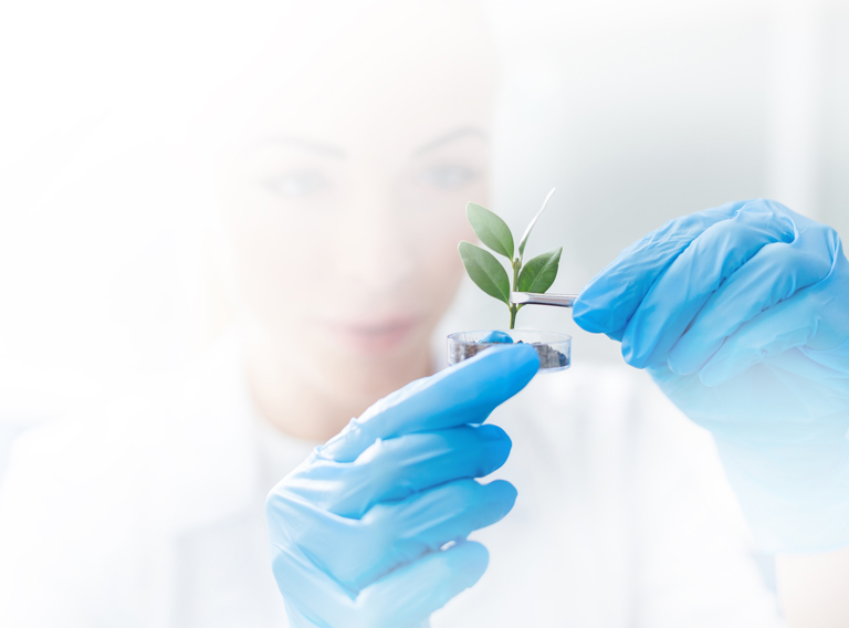 Kick-off Week visual bewerkt