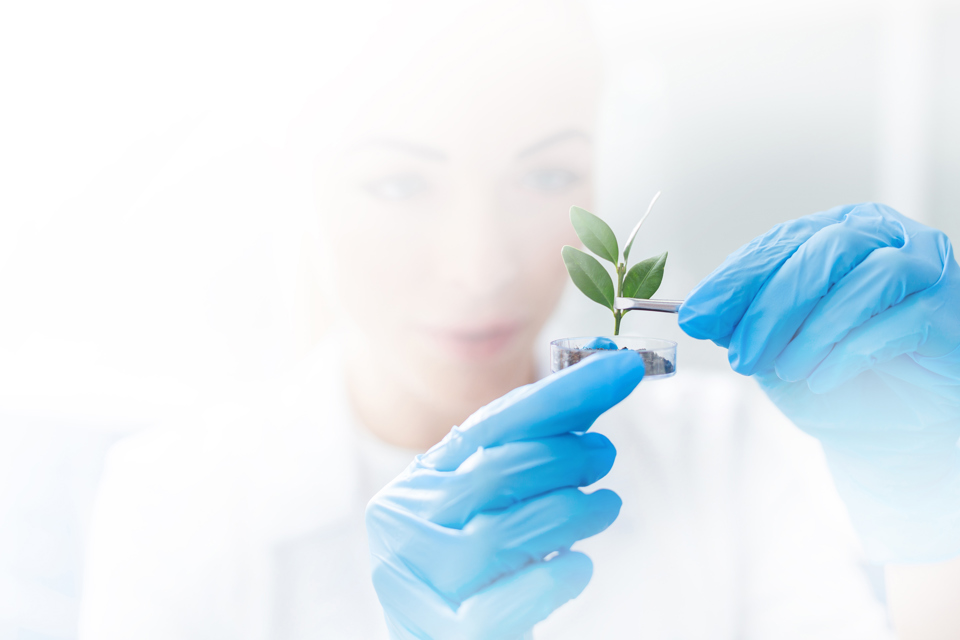 Kick-off Week visual bewerkt