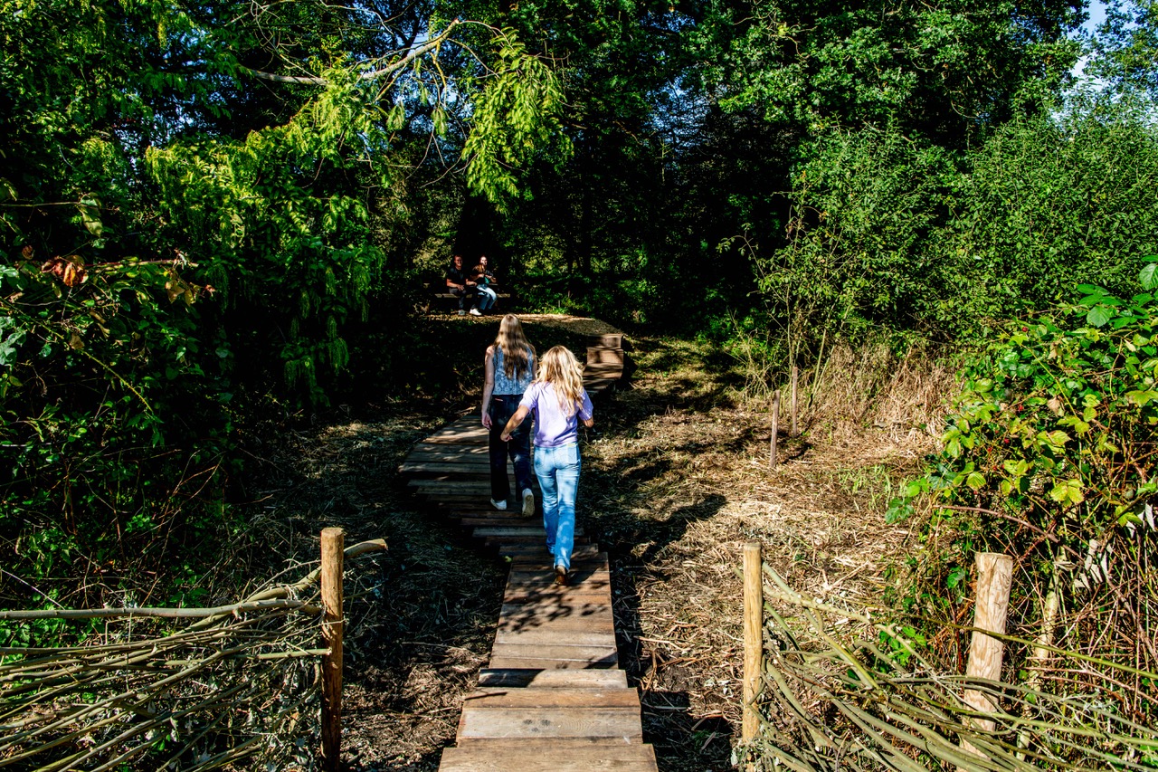 23 09 27 Live Projects ARK 139