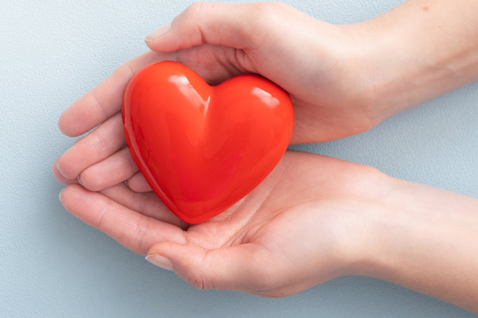 Cardio Fund (Hasselt Hart Center)