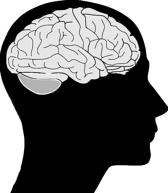 Brain Copy