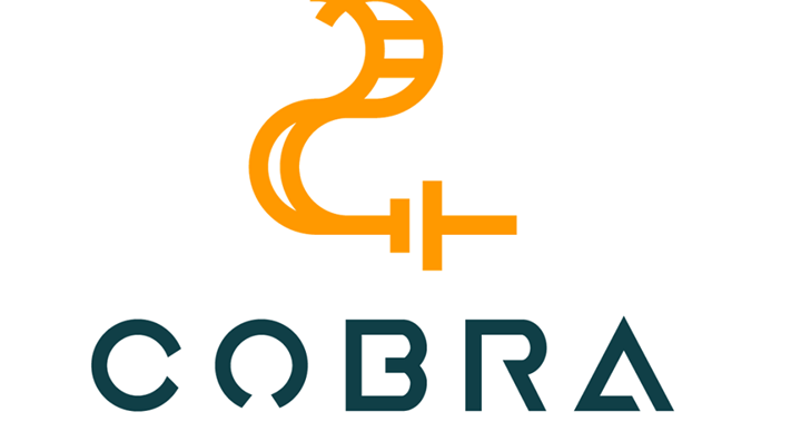 Logo Cobra Cropped